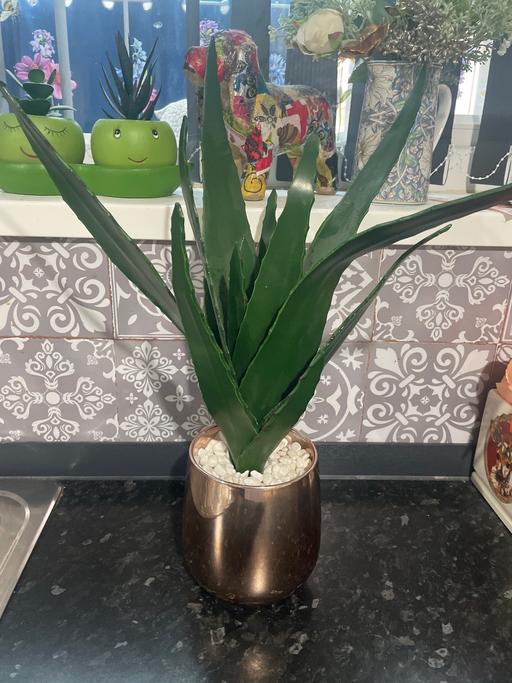 Buy & Sell Bordesley Green Birmingham - Photos for Artificial plant