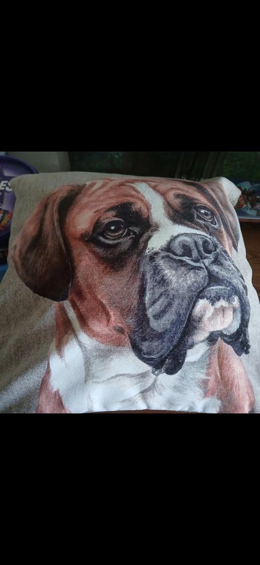 Buy & Sell Beeston Broxtowe - Photos for Next cushion )