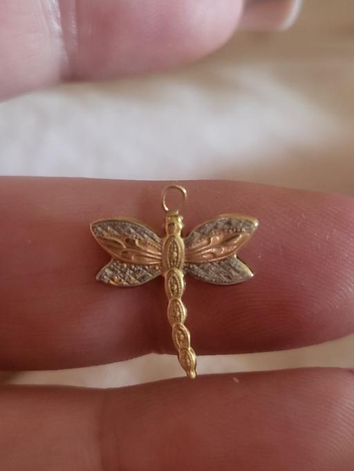 Buy & Sell Blackburn Blackburn with Darwen - Photos for 9ct gold dragonfly pendant