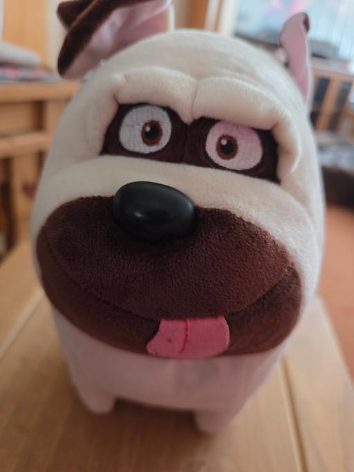 Buy & Sell Blackpool Town Centre Blackpool - Photos for Secret life of pets MEL