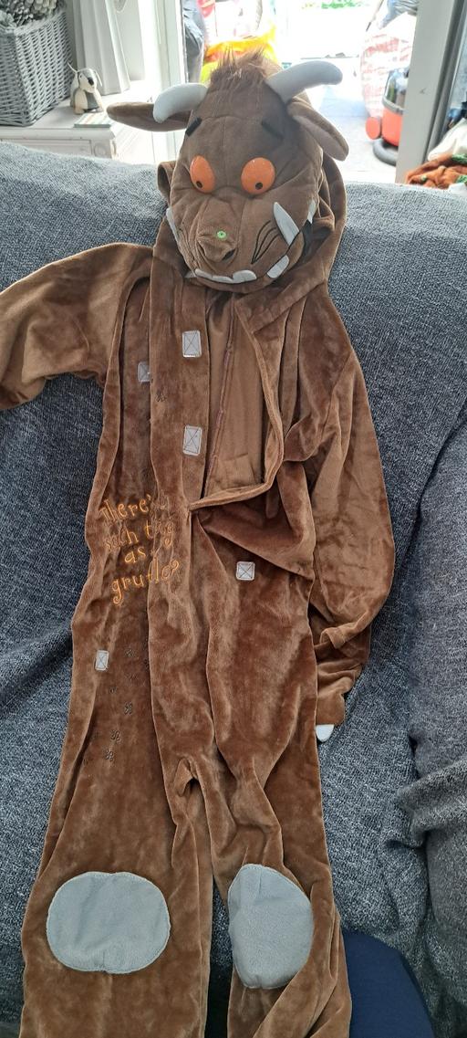 Buy & Sell Sutton Coldfield Birmingham - Photos for The gruffalo outfit size 5-6