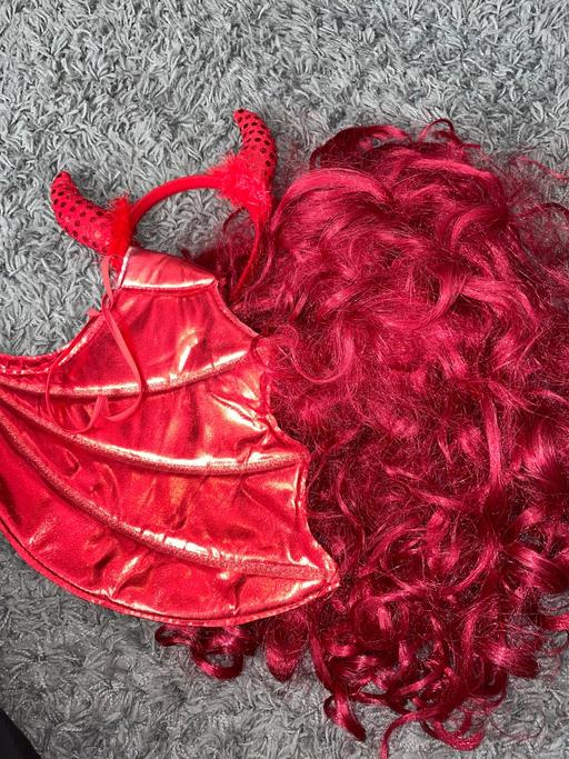 Buy & Sell Wallbrook Dudley - Photos for Red wig, wings and devil horn