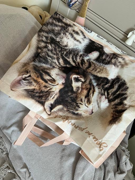 Buy & Sell Easington Lane Sunderland - Photos for Large Kitten Reusable Bag ( New )