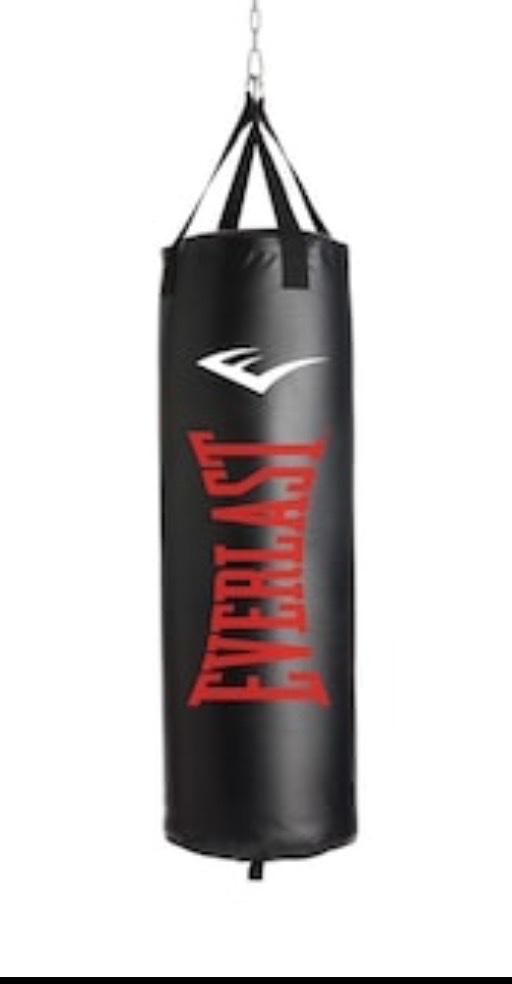 Buy & Sell Romford Barking and Dagenham - Photos for Everlast Unisex Nvtr Sf Unfil 99 Punch Bags