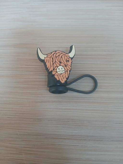 Buy & Sell Bradley Fold Trading Estate Bury - Photos for Highland Cow Straw Cover New