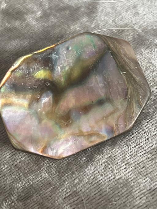 Buy & Sell Brighton Brighton - Photos for Beautiful abalone shell vintage brooch