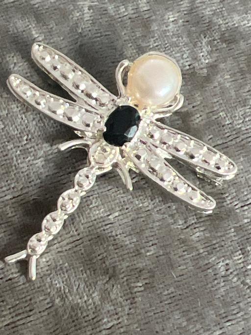 Buy & Sell Brighton Brighton - Photos for Beautiful dragonfly brooch