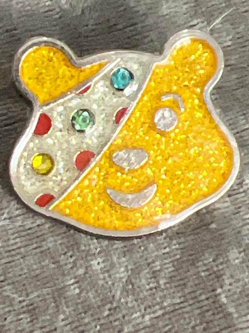 Buy & Sell Brighton Brighton - Photos for Vintage pudsey brooch