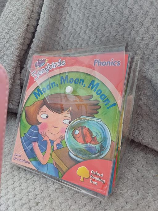 Buy & Sell Wickersley Rotherham - Photos for songbirds phonics books