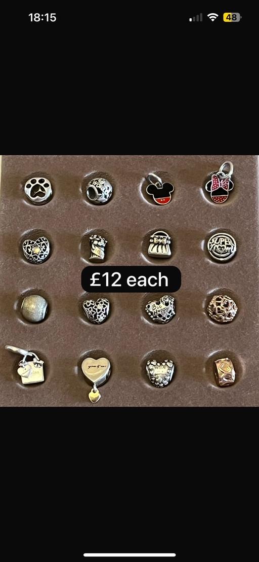 Buy & Sell Torquay Torbay - Photos for Genuine pandora charms only £12 each