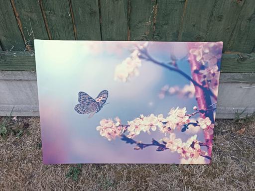Buy & Sell Castle Green East London - Photos for wall painting