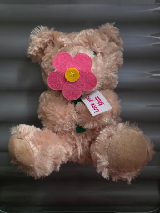 Buy & Sell Blackpool Town Centre Blackpool - Photos for Love you Mum bear