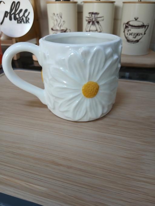 Buy & Sell Bradley Fold Trading Estate Bury - Photos for Daisy Mug (Used Once)