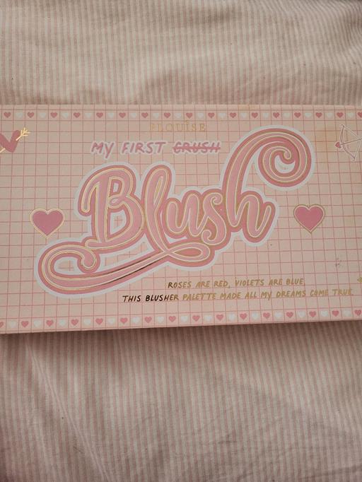 Buy & Sell Worsley Mesnes Wigan - Photos for P.Louise Blusher Pallet