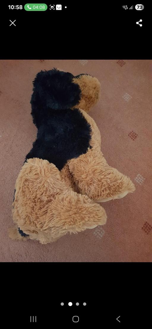 Buy & Sell Blackpool Town Centre Blackpool - Photos for Large dog soft toy