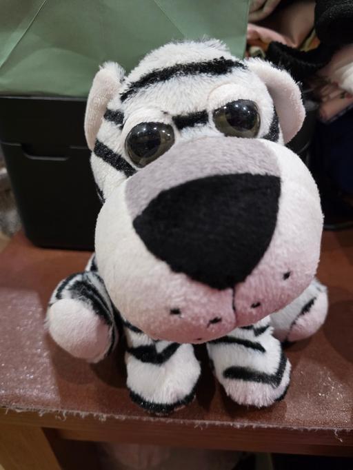 Buy & Sell Blackpool Town Centre Blackpool - Photos for White tiger