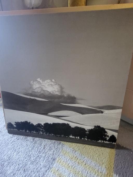 Buy & Sell Worsley Mesnes Wigan - Photos for canvas