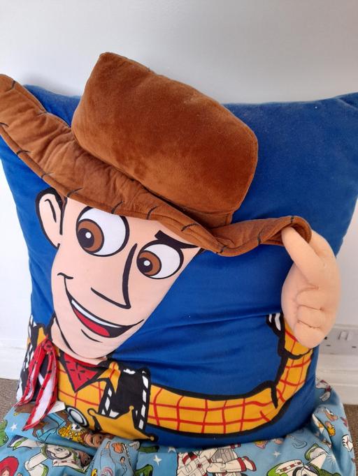 Buy & Sell Northfield Birmingham - Photos for Giant Woody 3D Cushion