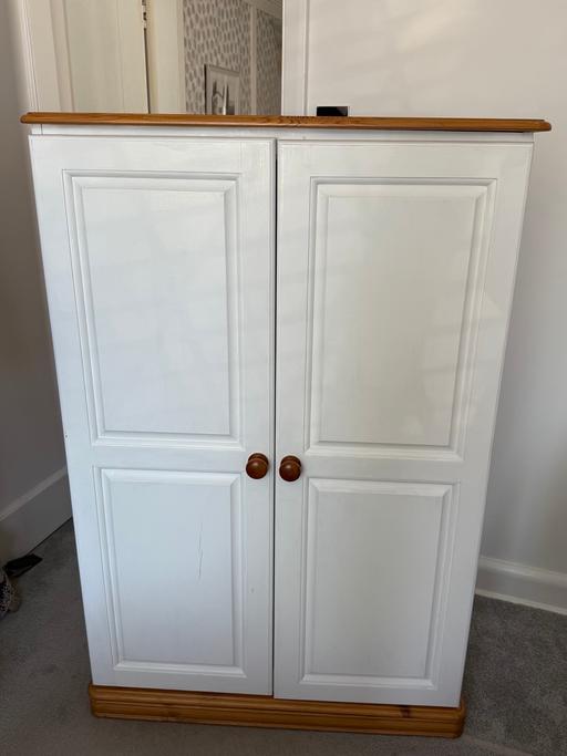 Buy & Sell Thames Ditton Elmbridge - Photos for Painted pine wardrobe