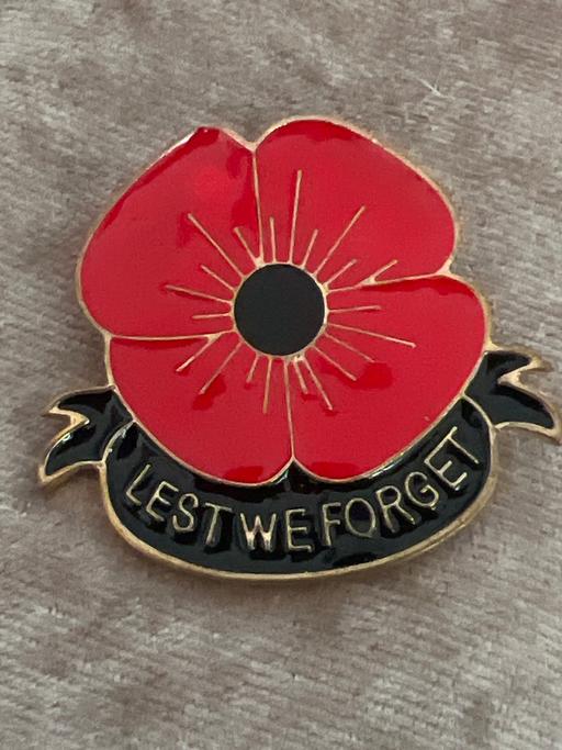 Buy & Sell Brighton Brighton - Photos for Lovely vintage poppy brooch