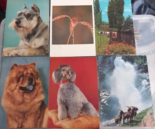 Buy & Sell Thatto Heath Saint Helens - Photos for 25 animal & bird postcards