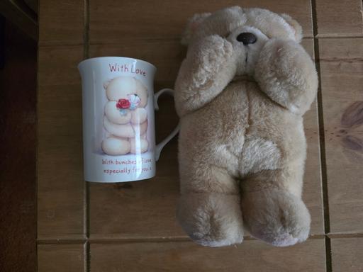 Buy & Sell Blackpool Town Centre Blackpool - Photos for Forever Friends mug & bear