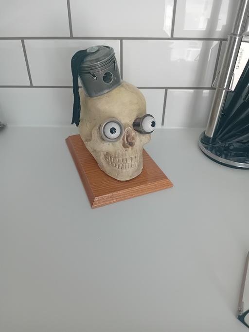 Buy & Sell Tipton Sandwell - Photos for unusual skull ornament