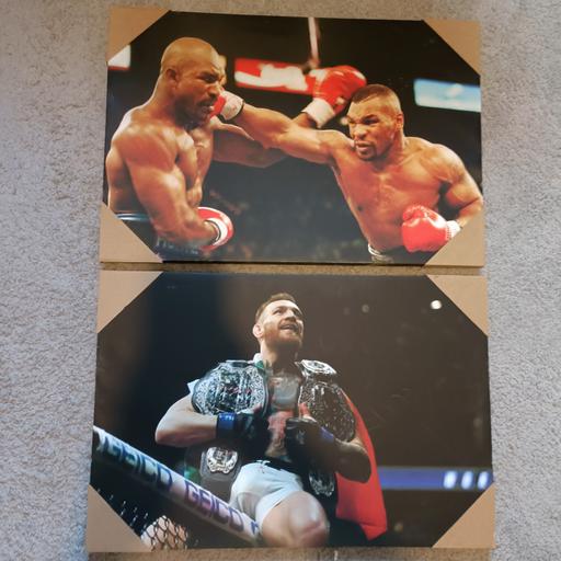 Buy & Sell Mitcham Merton - Photos for 2 boxing canvases