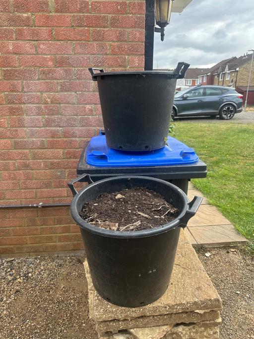 Buy & Sell Moulton West Northamptonshire - Photos for Fruit tree pots