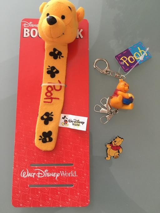 Buy & Sell Ettingshall Park Wolverhampton - Photos for WINNIE THE POOH