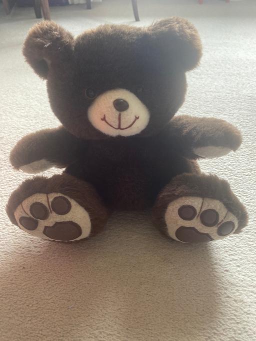 Buy & Sell Lower Pilsley North East Derbyshire - Photos for Teddy bear