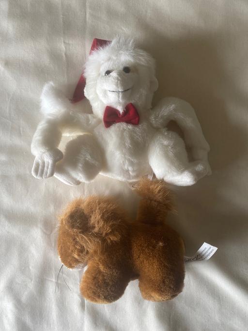 Buy & Sell Lower Pilsley North East Derbyshire - Photos for Teddy bundle