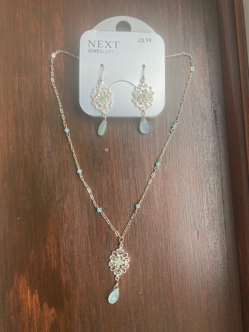 Buy & Sell Lower Pilsley North East Derbyshire - Photos for Next necklace & earrings