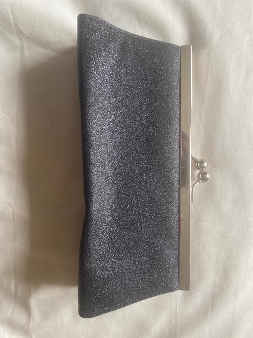 Buy & Sell Lower Pilsley North East Derbyshire - Photos for Next clutch bag