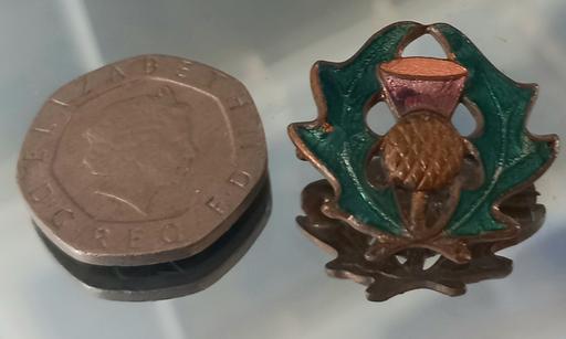 Buy & Sell Thatto Heath Saint Helens - Photos for Vintage enamel on bronze thistle brooch