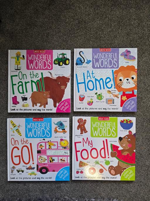 Buy & Sell Rowley Regis Sandwell - Photos for Miles Kelly Wonderful Words, hardback books