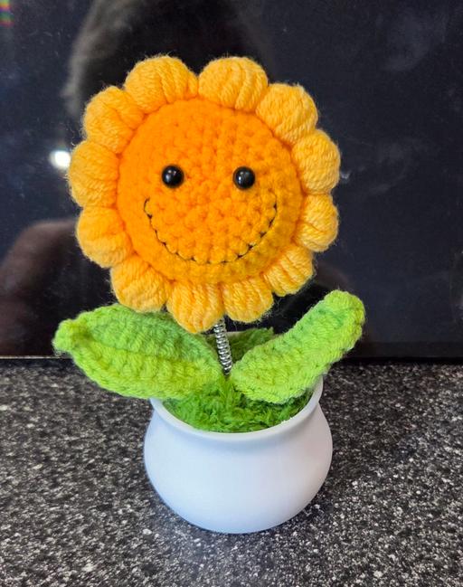 Buy & Sell Acol Thanet - Photos for WIGGERLY SUNFLOWER