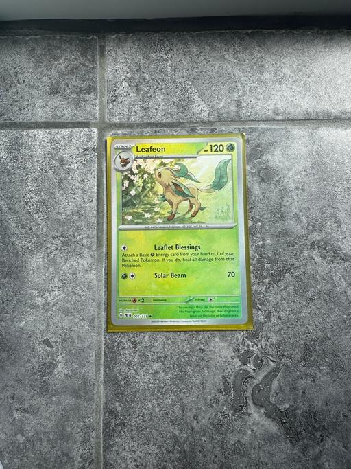 Buy & Sell Liverpool Liverpool - Photos for Pokémon leafeon *MasterBall*