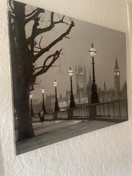 Buy & Sell Bordesley Green Birmingham - Photos for Large canvass picture