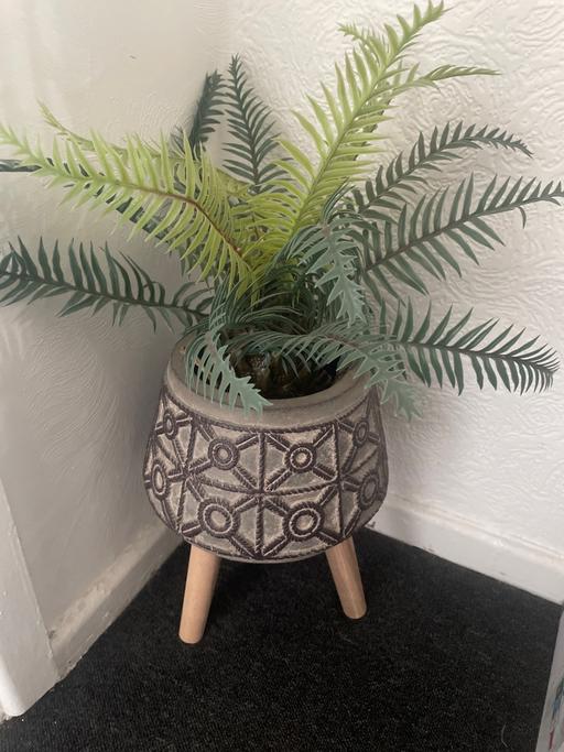 Buy & Sell Ward End Birmingham - Photos for Plant & pot