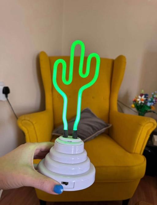 Buy & Sell Maze Hill South East London - Photos for Cactus Lamp