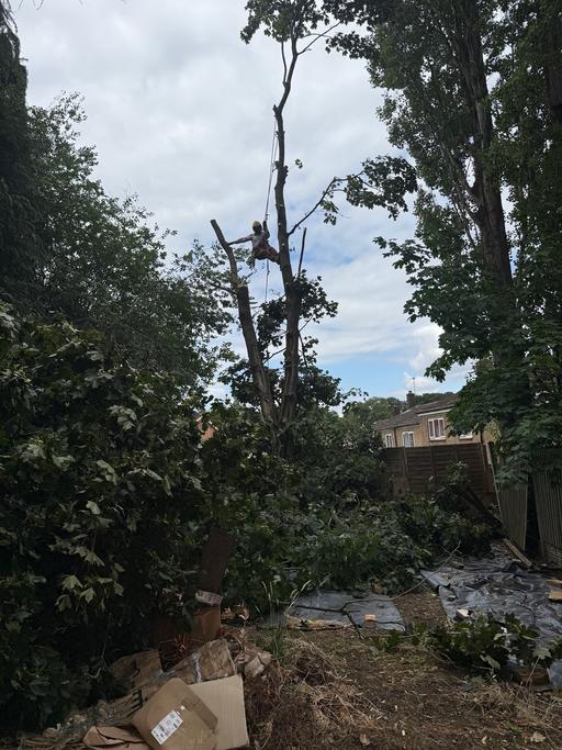 Buy & Sell Sparkbrook Birmingham - Photos for Khan tree removal gardening, and landscaping