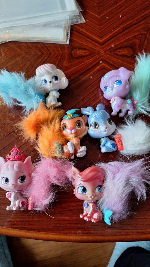 Buy & Sell West Bromwich Sandwell - Photos for Disney Palace Pets