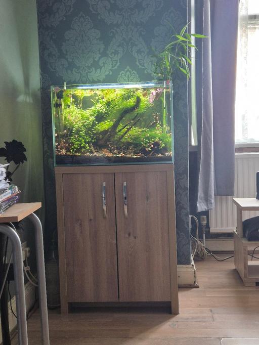 Buy & Sell Newham East London - Photos for Aquarium with Cabinet 90L