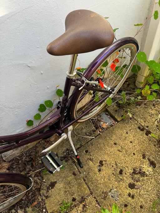 Buy & Sell Stanmer Brighton - Photos for Ladies - Bicycle