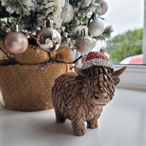 Buy & Sell Hillstown Bolsover - Photos for Festive Highland Cow