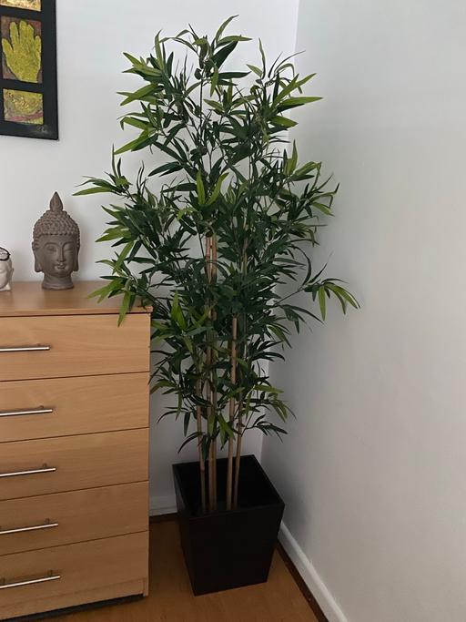 Buy & Sell Burroughs, The North West London - Photos for Artificial potted plant Fejka IKEA