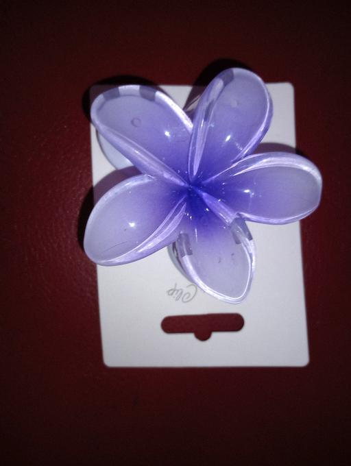 Buy & Sell Northfield Birmingham - Photos for Bnwt Hair Clip