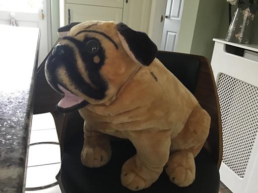 Buy & Sell Princes End Sandwell - Photos for Cuddly dog