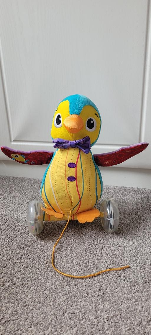 Buy & Sell Great Houghton Barnsley - Photos for Lamaze pull along penguin